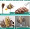 Natural Dried Pampas Grass Boho Home Decor Dried Flowers Bouquet Floral Home Decorations Reed Grass